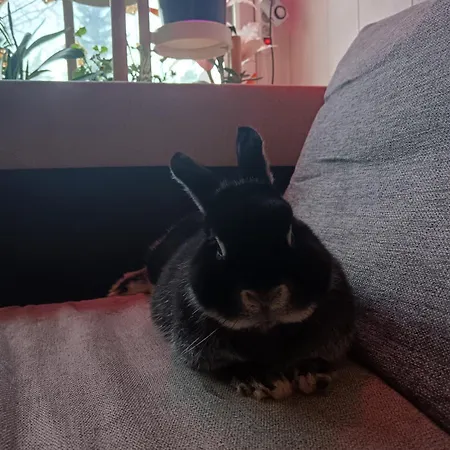 Διαμέρισμα Citymini *