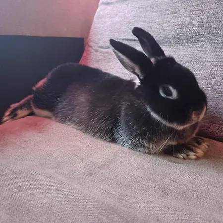 Διαμέρισμα Citymini