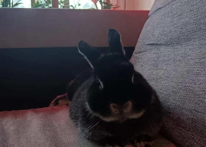 Appartamento Citymini *