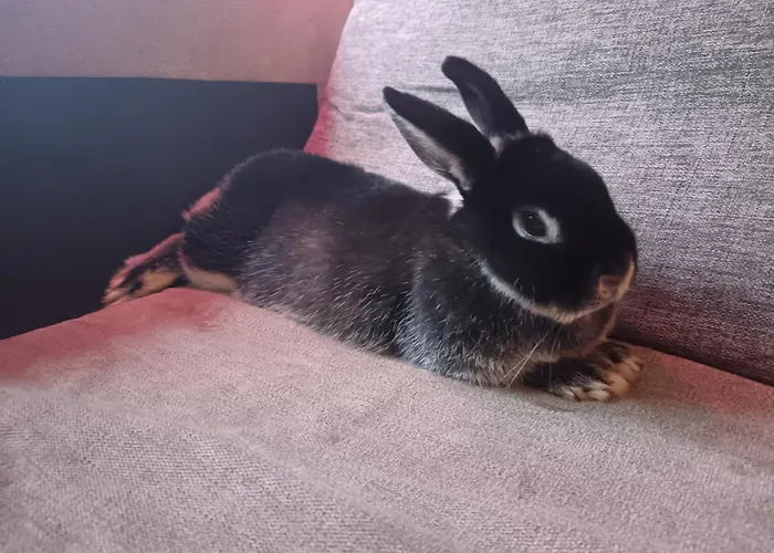 Appartement Citymini